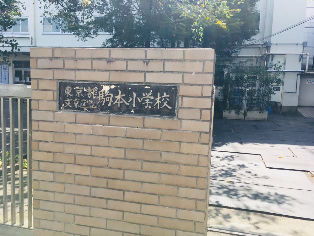 小学校　文京区立駒本小学校（小学校）まで141m