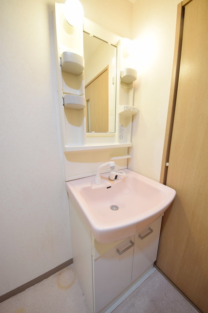 洗面設備　～今日はヘアセットうまくいった～