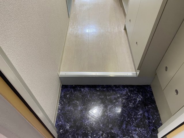 セレーネ田辺IVの玄関写真