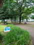 公園　北大和田公園（公園）まで1015m