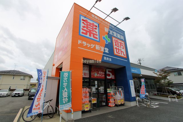ドラックストア　ドラッグ新生堂国府店（ドラッグストア）まで753m