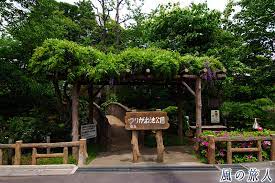 公園　つりがね池公園（公園）まで1059m