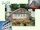 中学校　桑田中学校（中学校）まで274m