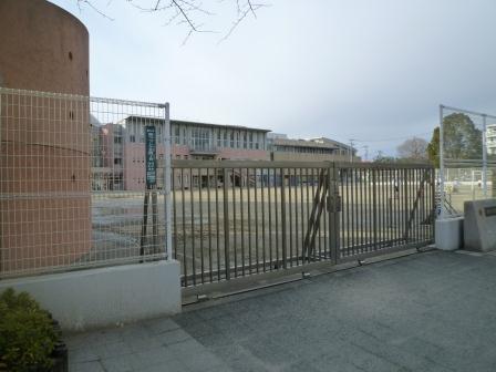 小学校　調布市立調和小学校（小学校）まで717m