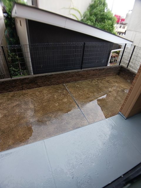 庭