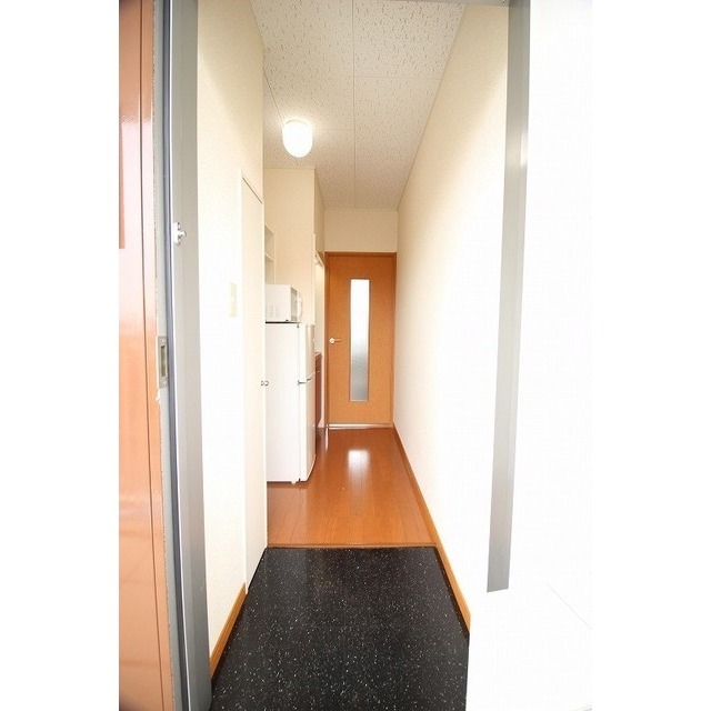 玄関　同タイプ他部屋の写真になります。
