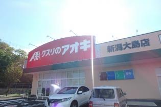 ドラックストア　クスリのアオキ新潟大島店（ドラッグストア）まで862m