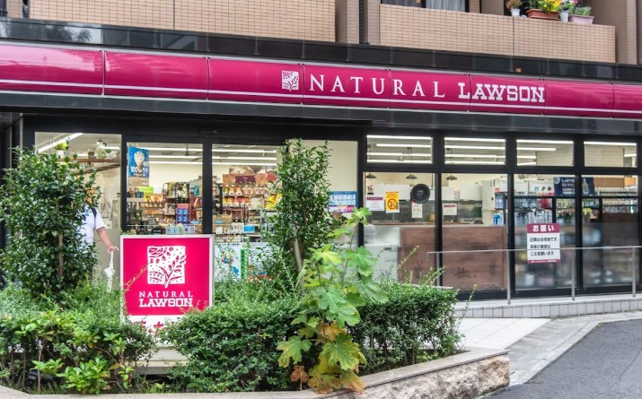 コンビニ　ナチュラルローソン NL南麻布二丁目店（コンビニ）まで636m