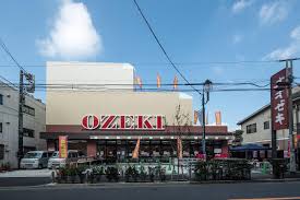 スーパー　オオゼキ ときわ台店（スーパー）まで1244m