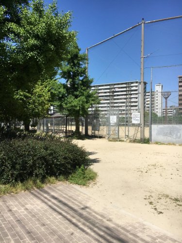 公園　波除公園（公園）まで157m
