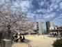 公園　桑津東公園（公園）まで991m