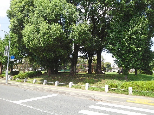公園　秋津中央公園（公園）まで200m