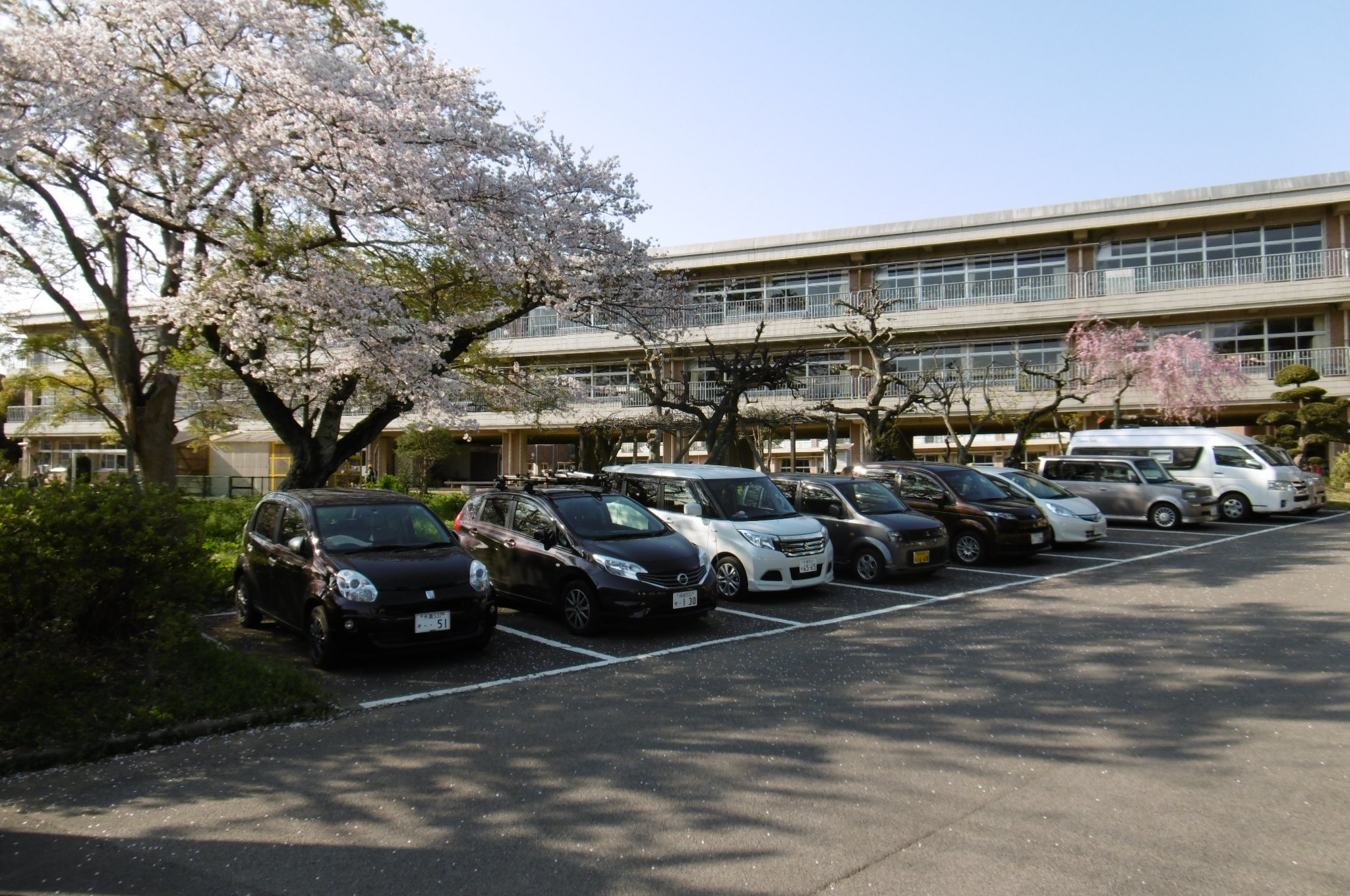 小学校　酒々井町立酒々井小学校（小学校）まで150m
