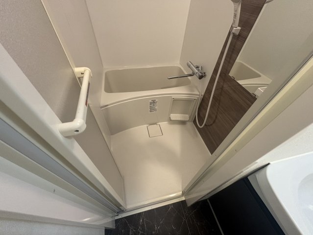 S-RESIDENCE名駅北alesiaの風呂写真