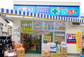 ドラックストア　どらっぐぱぱす下落合店（ドラッグストア）まで463m