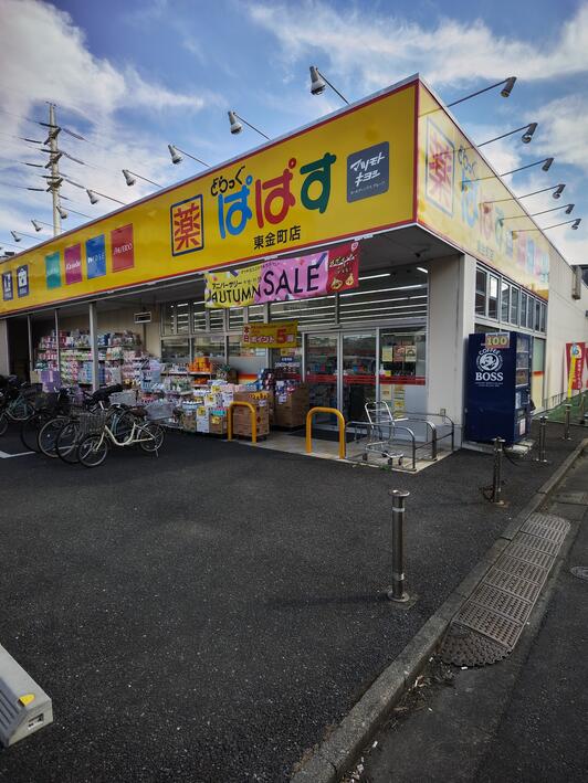 ドラックストア　どらっぐぱぱす東金町店（ドラッグストア）まで685m
