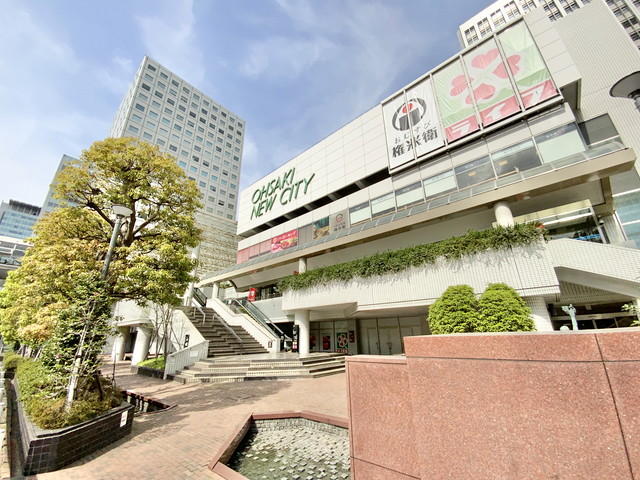 パークハイツ大崎の周辺写真