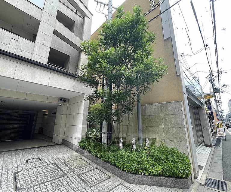 庭