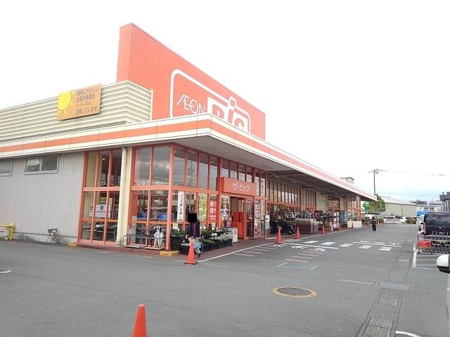 スーパー　ザ・ビック荒田島店（スーパー）まで800m