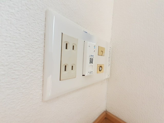 TURTLE ONEのその他写真