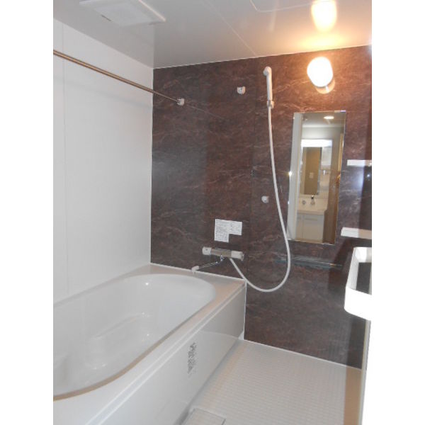 地下鉄南北線 北１２条駅 徒歩4分 4階建 築12年の風呂写真