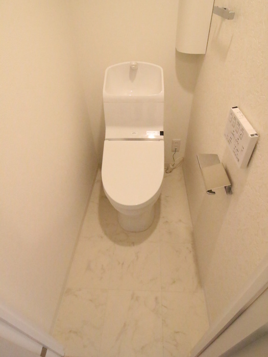 Grand Maison TOKIWAのトイレ写真
