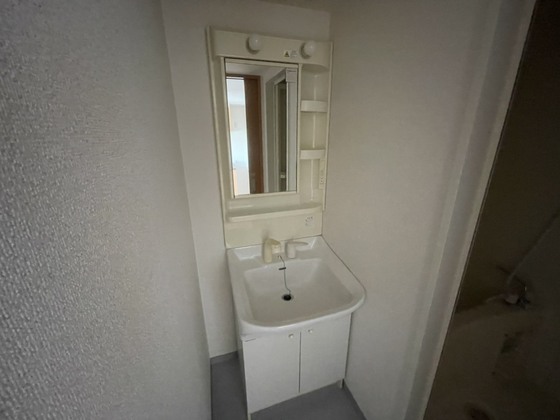 洗面設備　※別号室の写真です