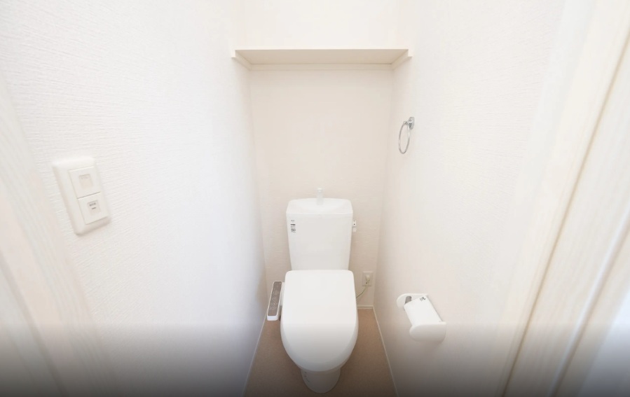 フィールズ金田 弐番館のトイレ写真