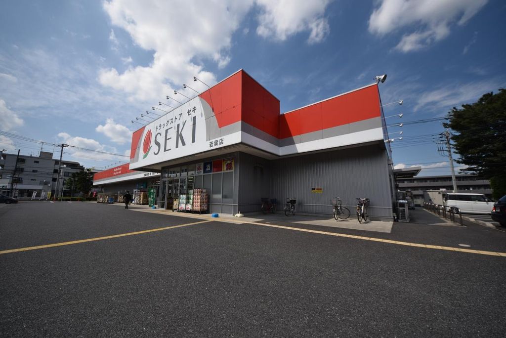 ドラックストア　ドラッグストアセキ若葉店（ドラッグストア）まで1000m