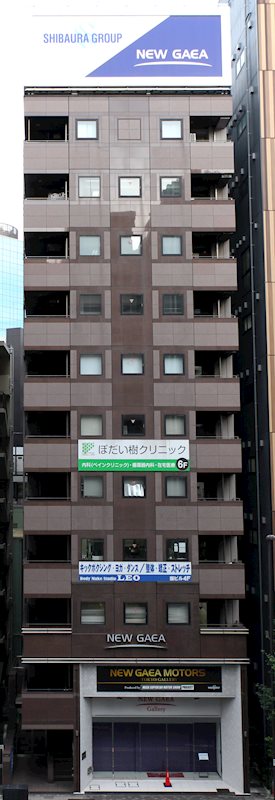 建物外観　S(鉄骨造)構造　12階建て　総戸数12戸