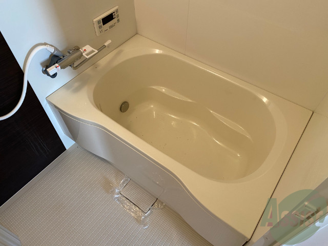 バス・シャワールーム　お風呂はこちらです。ゆったりできそうですね。