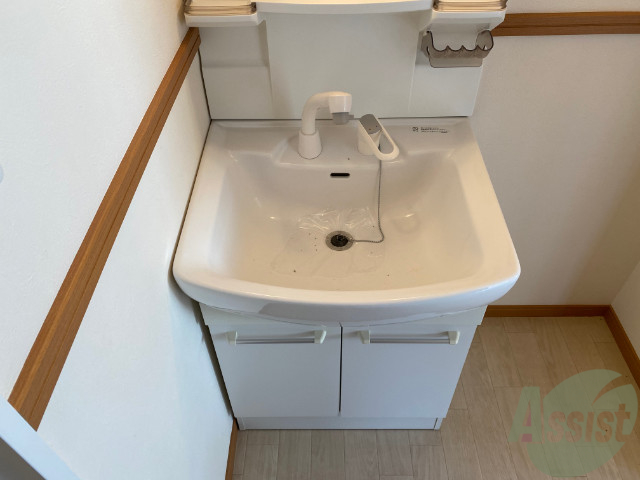 洗面設備　シャワー付きの独立洗面台が付いております。