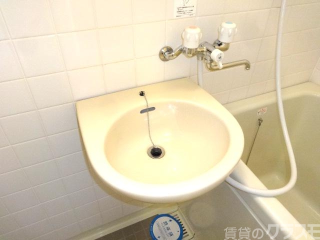 洗面設備　独立タイプではありませんが・・。