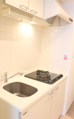 キッチン　レジディア蒲田II