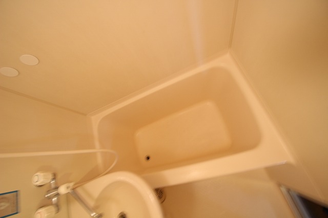 バス・シャワールーム　同物件、別号室のものです。