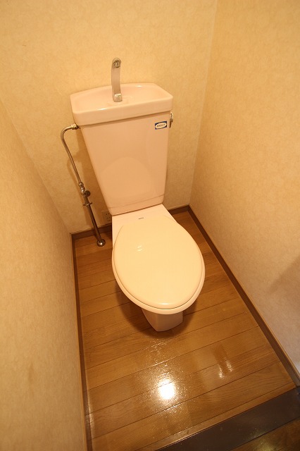 トイレ　同物件、別号室のものです。