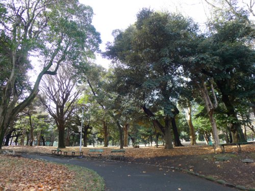公園　北区立中央公園（公園）まで725m