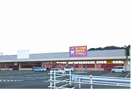 ドラックストア　クスリ岩崎チェーン（ドラッグストア）まで800m