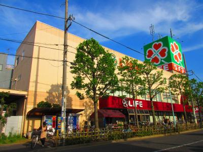 スーパー　ライフ 鹿骨店（スーパー）まで328m
