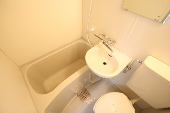 バス・シャワールーム　※別部屋の写真です