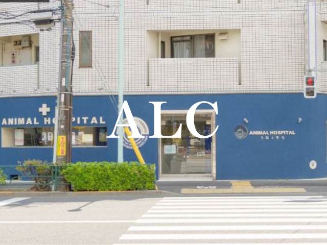 病院　動物病院うみとそら（病院）まで298m