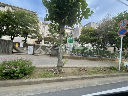 小学校　柏市立松葉第二小学校（小学校）まで739m