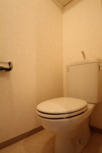 トイレ　写真は別号室のものです。
