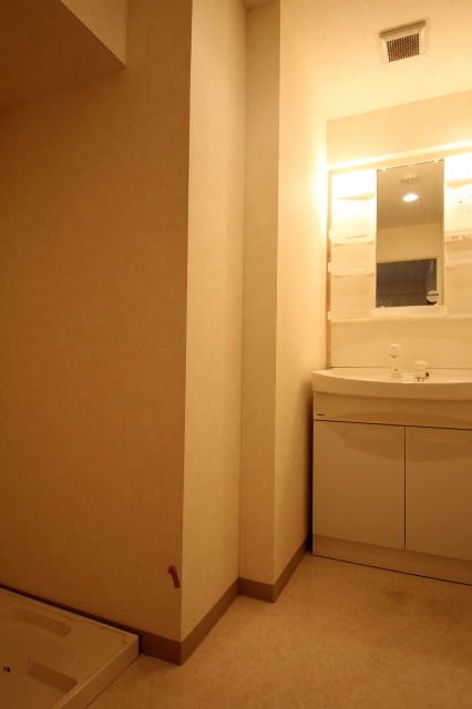 洗面設備　写真は別号室のものです。
