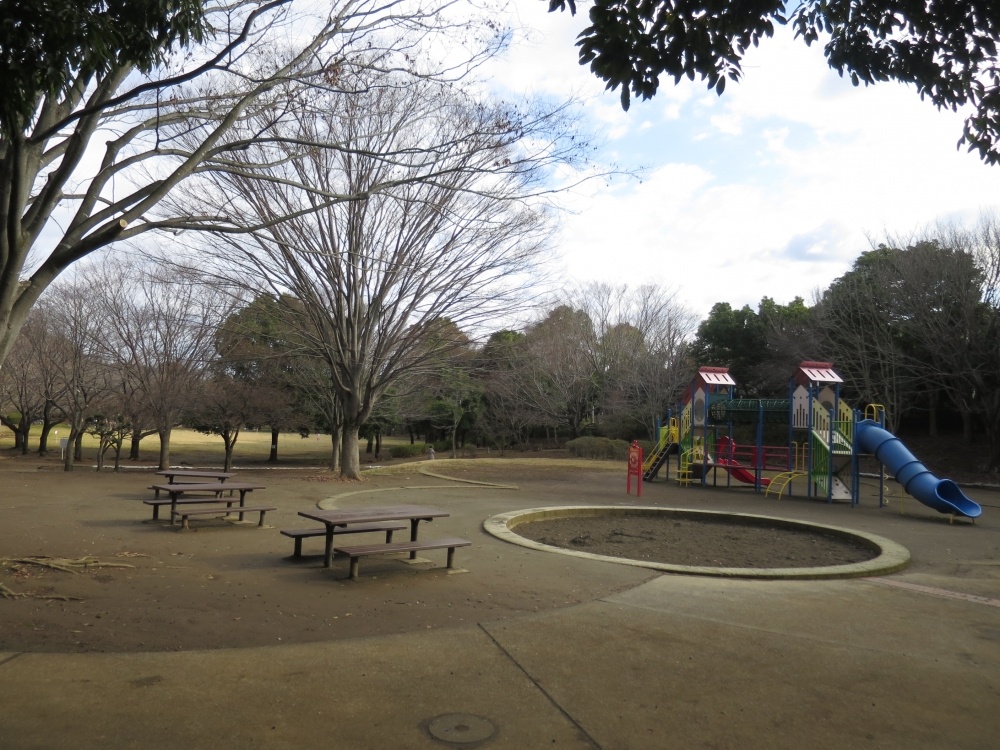 公園　美しが丘近隣公園（公園）まで1235m
