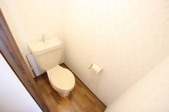 トイレ　※他号室の写真になります