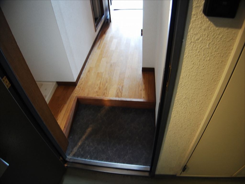 玄関　セレッソコート西心斎橋　玄関