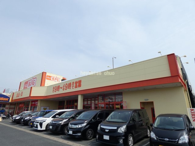 スーパー　ザ・ビッグ熊本南店（スーパー）まで617m