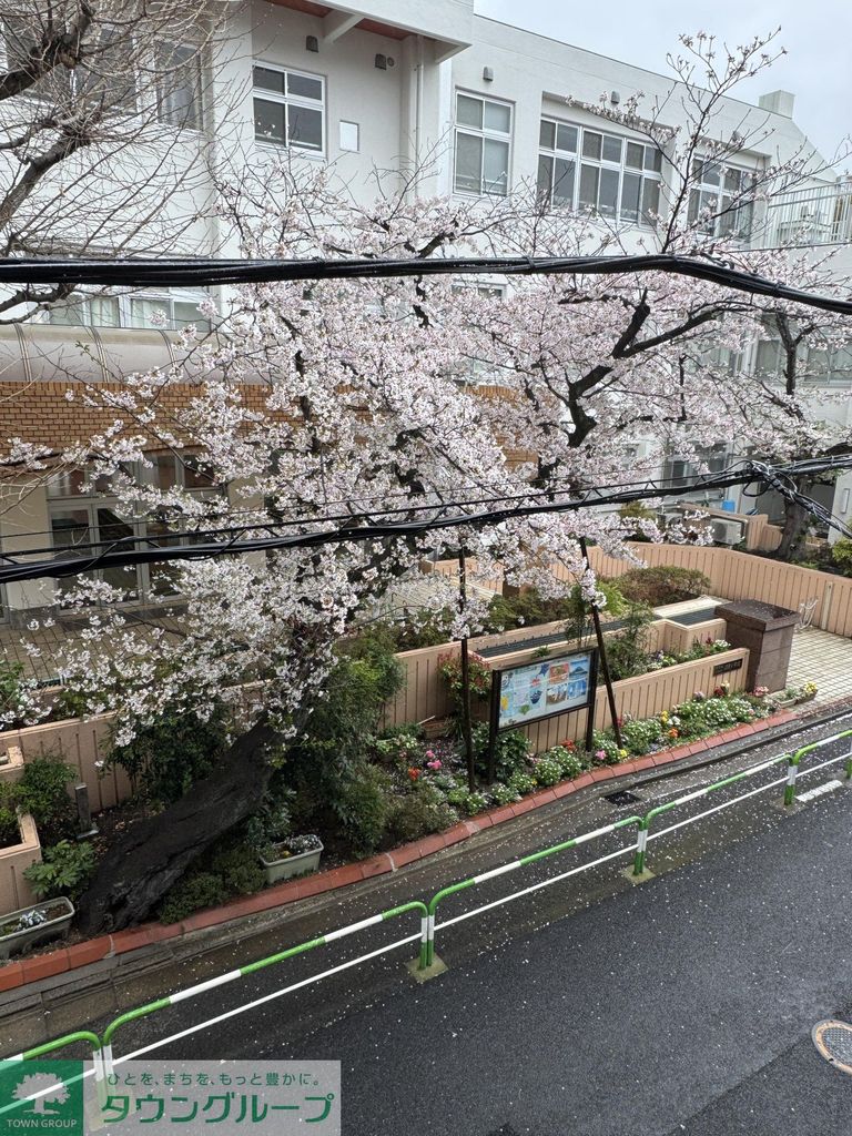 庭
