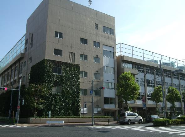 小学校　中央区立月島第一小学校（小学校）まで298m